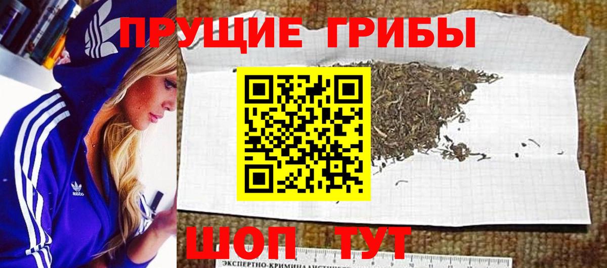 Туймазы  Галлюциногенные грибы GOLDEN TEACHER  Вход с VPN 